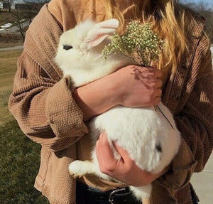 Meet your Posher, Alexander